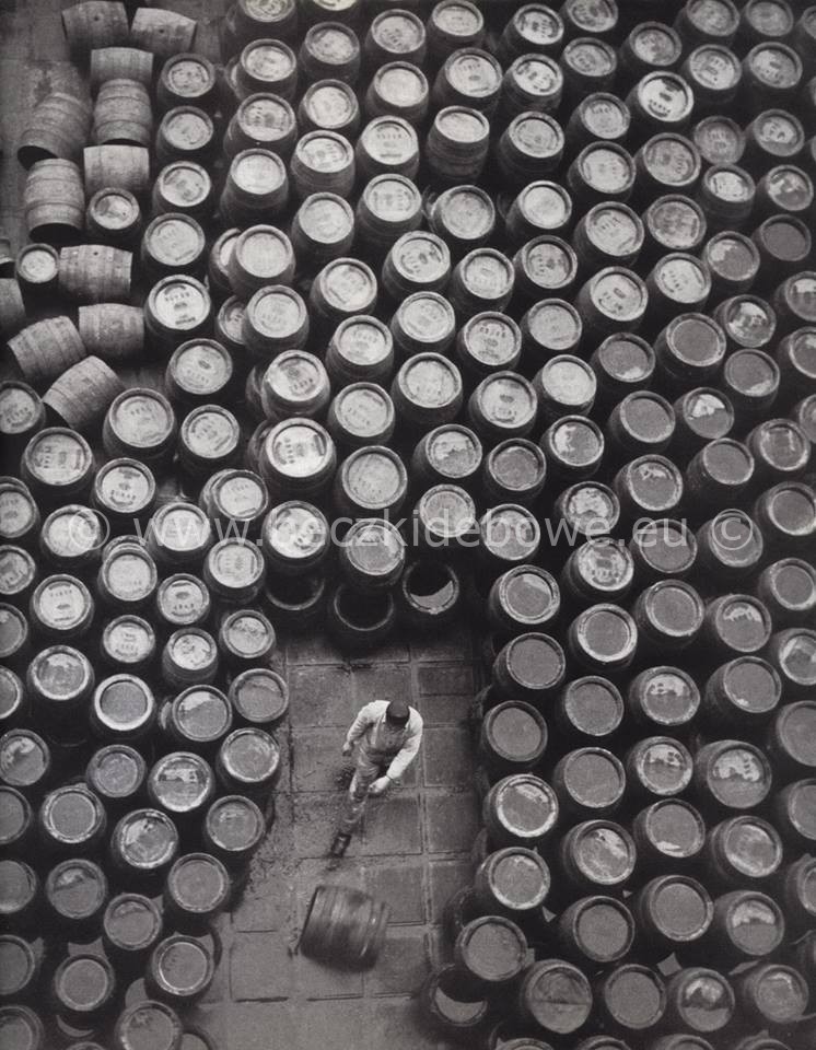 Beer_21443055_1715262685175104_231974759_n